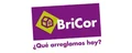 Bricor